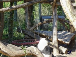 Tiergarten Schönbrunn am 03.10.2025